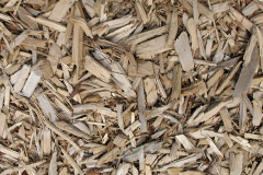 biomass boilers Scoonie